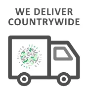 Courier